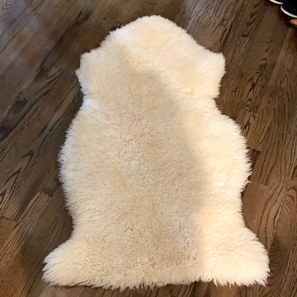 New Zealand sheep rug